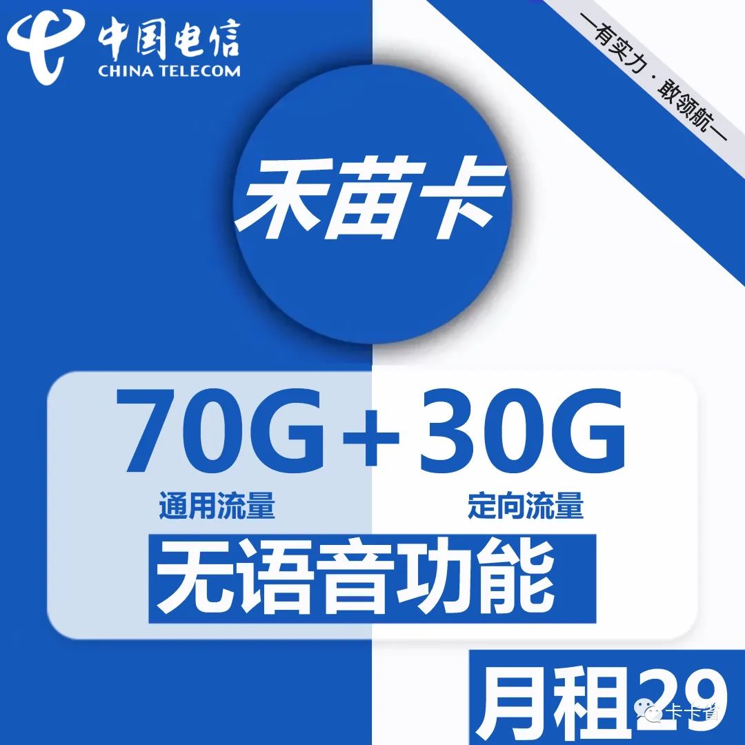 河南星（战狼卡/星禾卡/禾苗卡/天为卡）29元100g，副卡/9n/白金5G速率/语音/公益短信/流量结转等情况经验分享