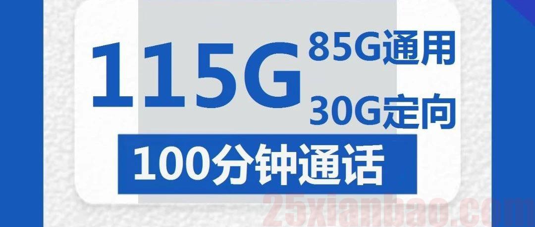 【流量通话长期】29月租=115G+100分钟，可再叠加100分钟，极简销户！
