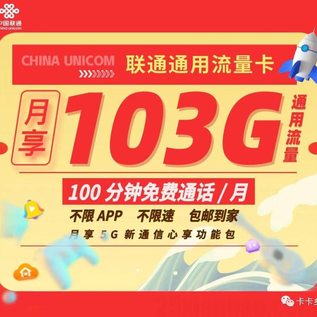【长期·副卡】流量王30包103G+100分钟，可开2张副卡