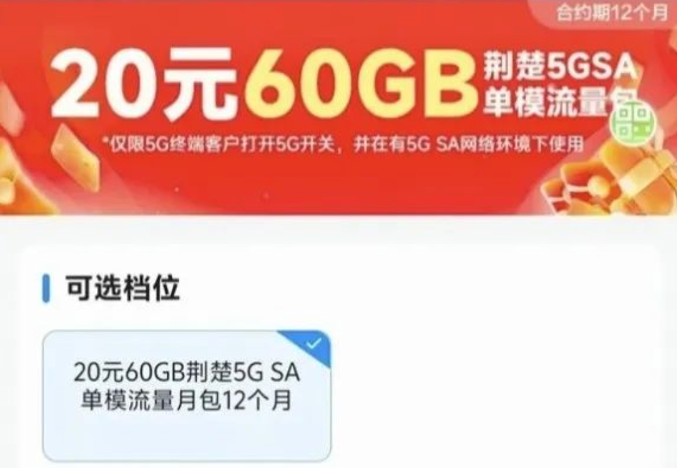 湖北移动60G单模SA流量包