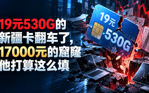 19元530G的新疆卡翻车了，17000元的窟窿他打算这么填